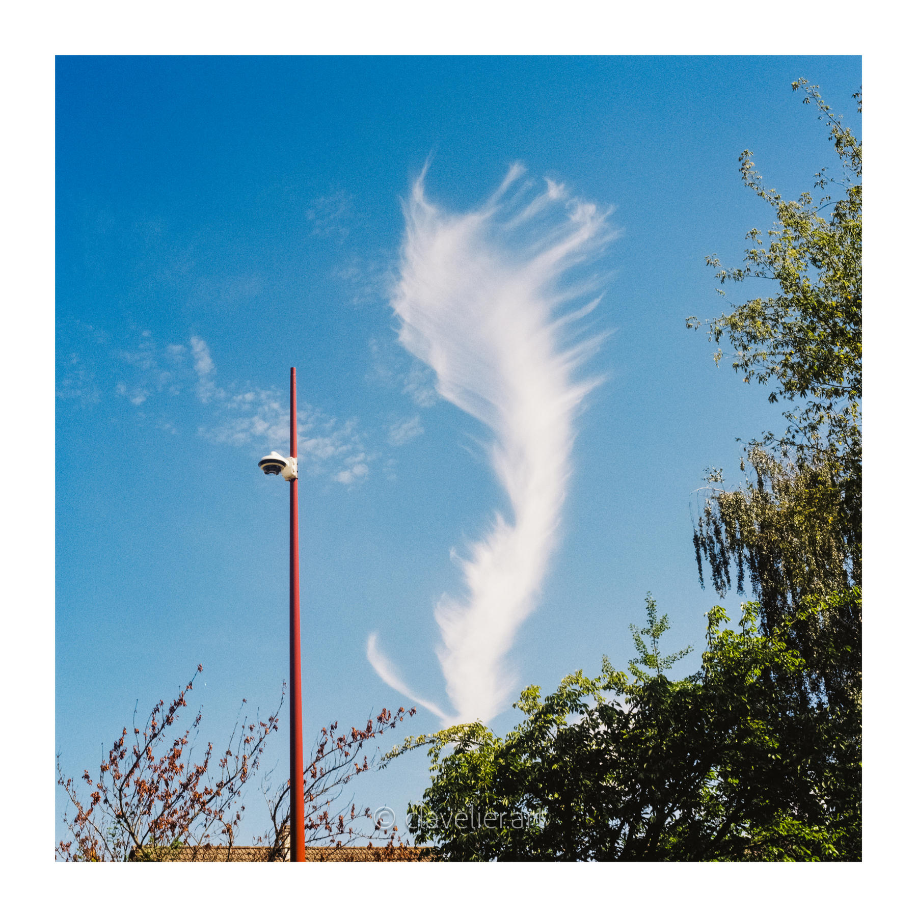 Les yeux vers le ciel, chapitre 1 — œuvre 11