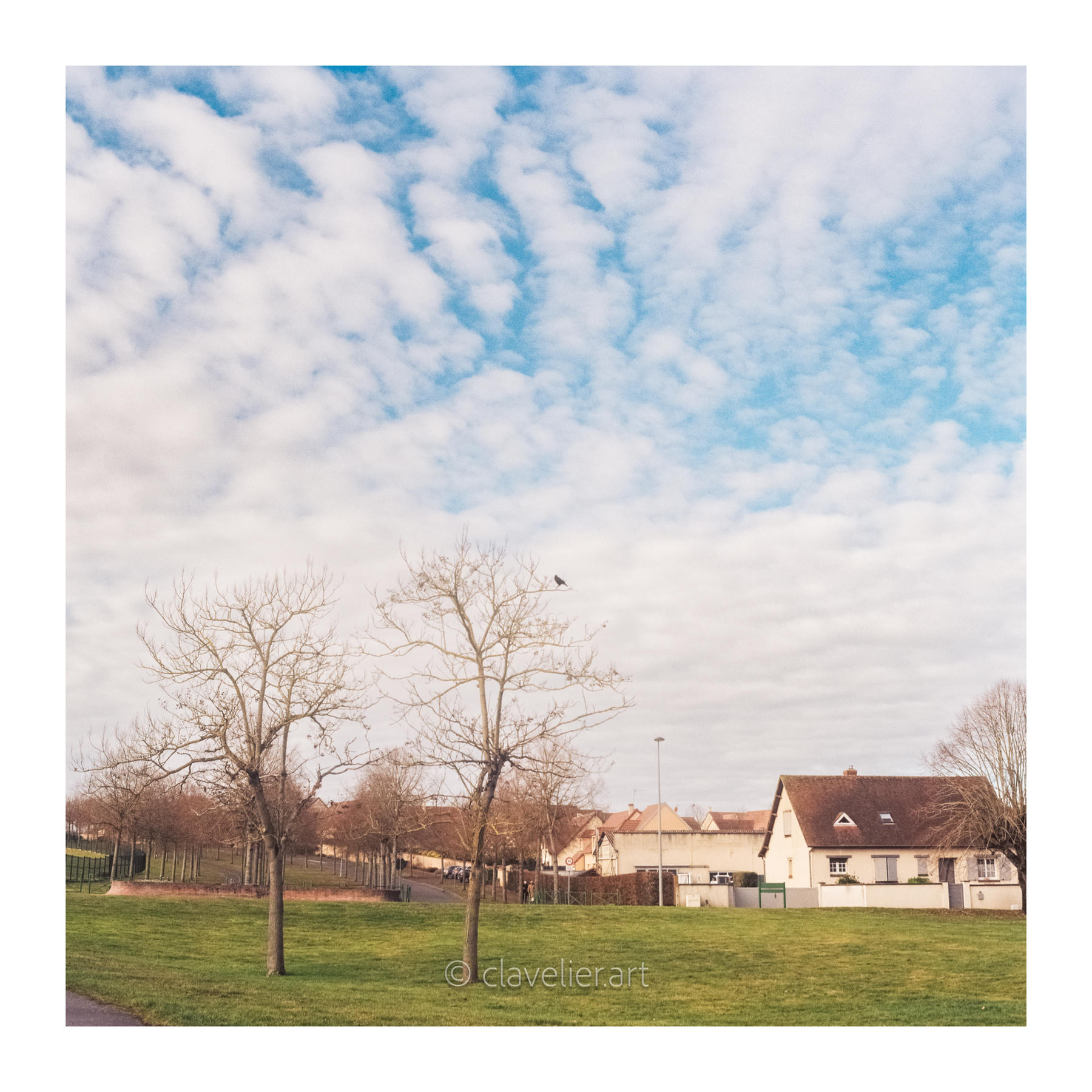 Les yeux vers le ciel, chapitre 3 — œuvre 1