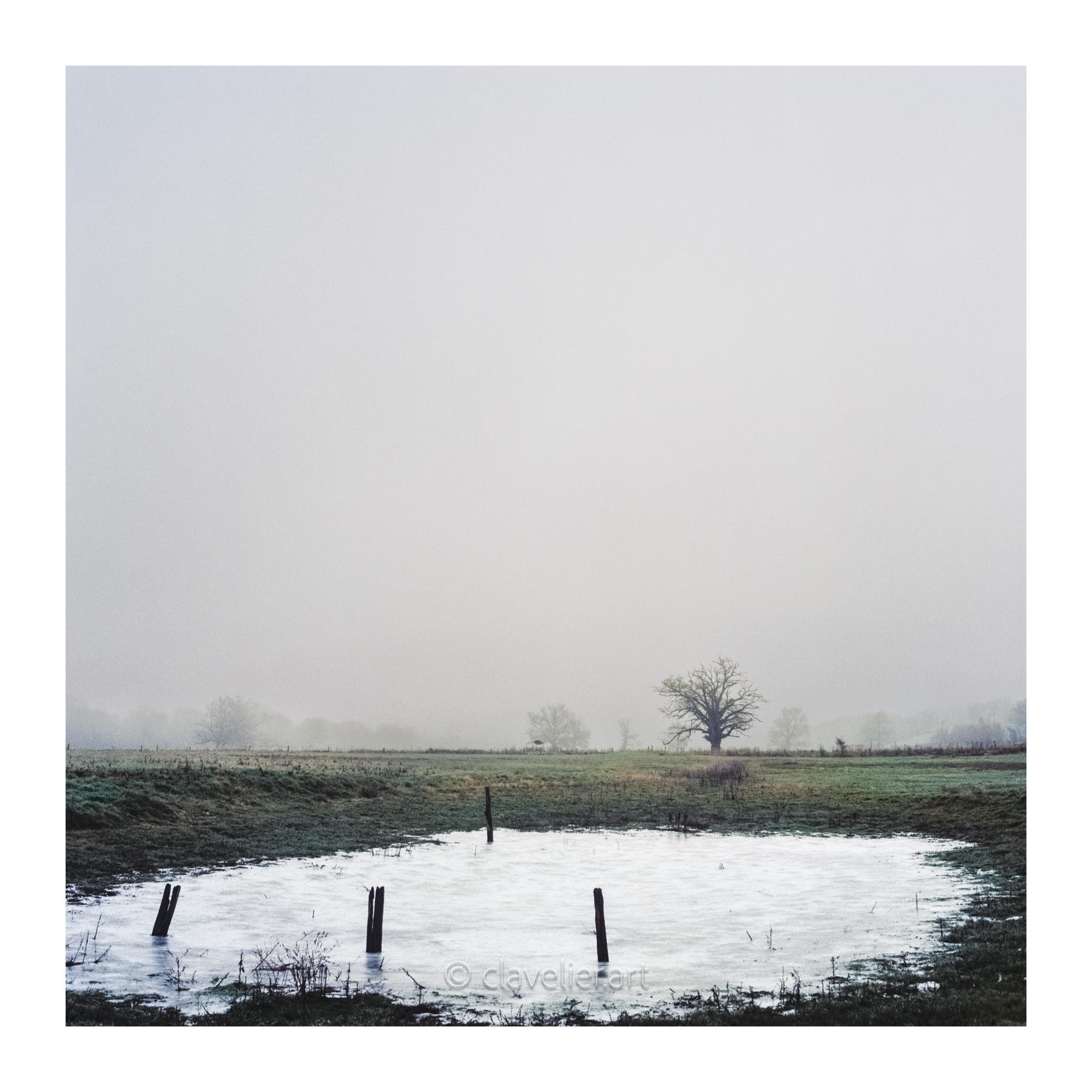 Les yeux vers le ciel, chapitre 3 — œuvre 3