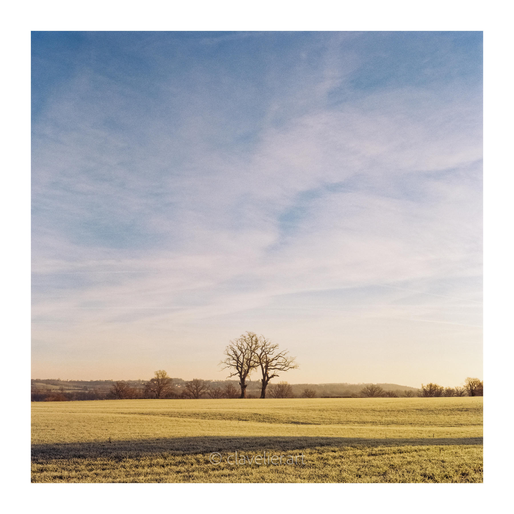 Les yeux vers le ciel, chapitre 3 — œuvre 4