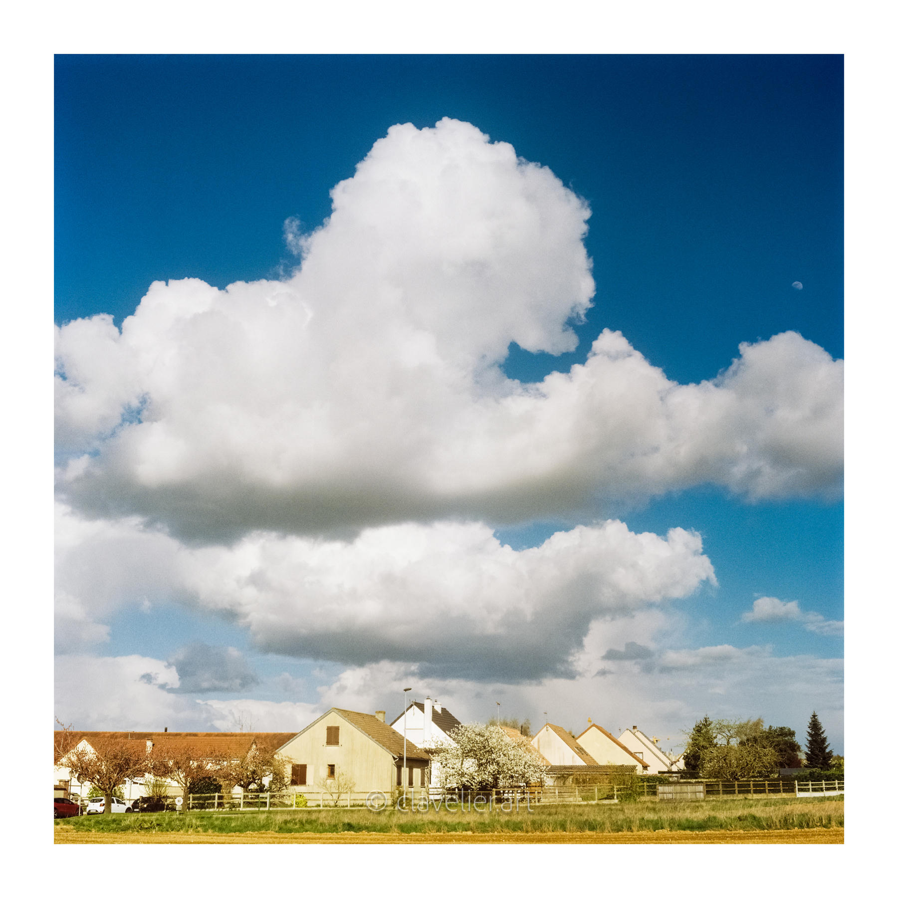 Les yeux vers le ciel, chapitre 4 — œuvre 1