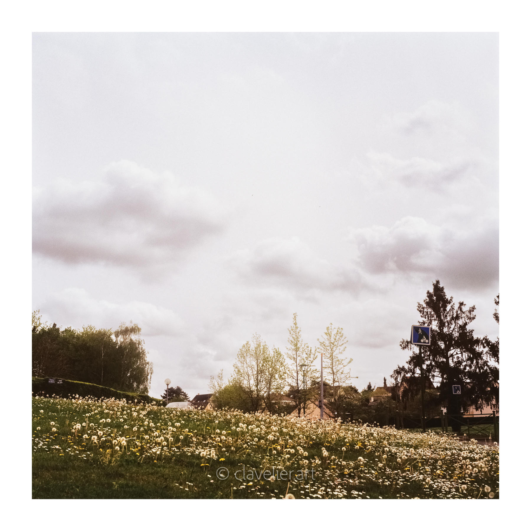 Les yeux vers le ciel, chapitre 4 — œuvre 6