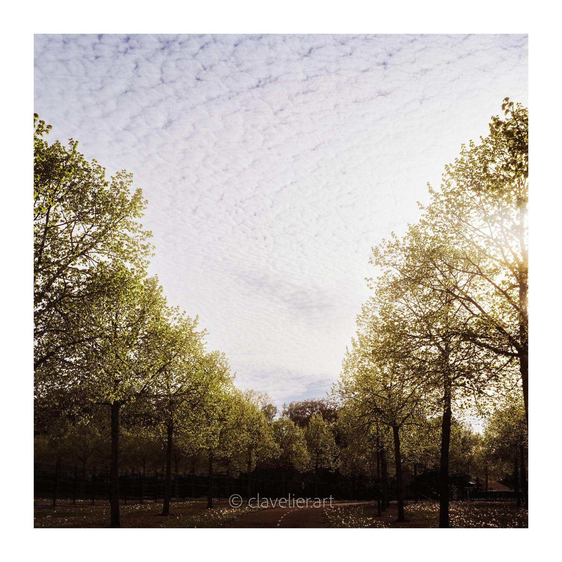 Les yeux vers le ciel, chapitre 4 — œuvre 8