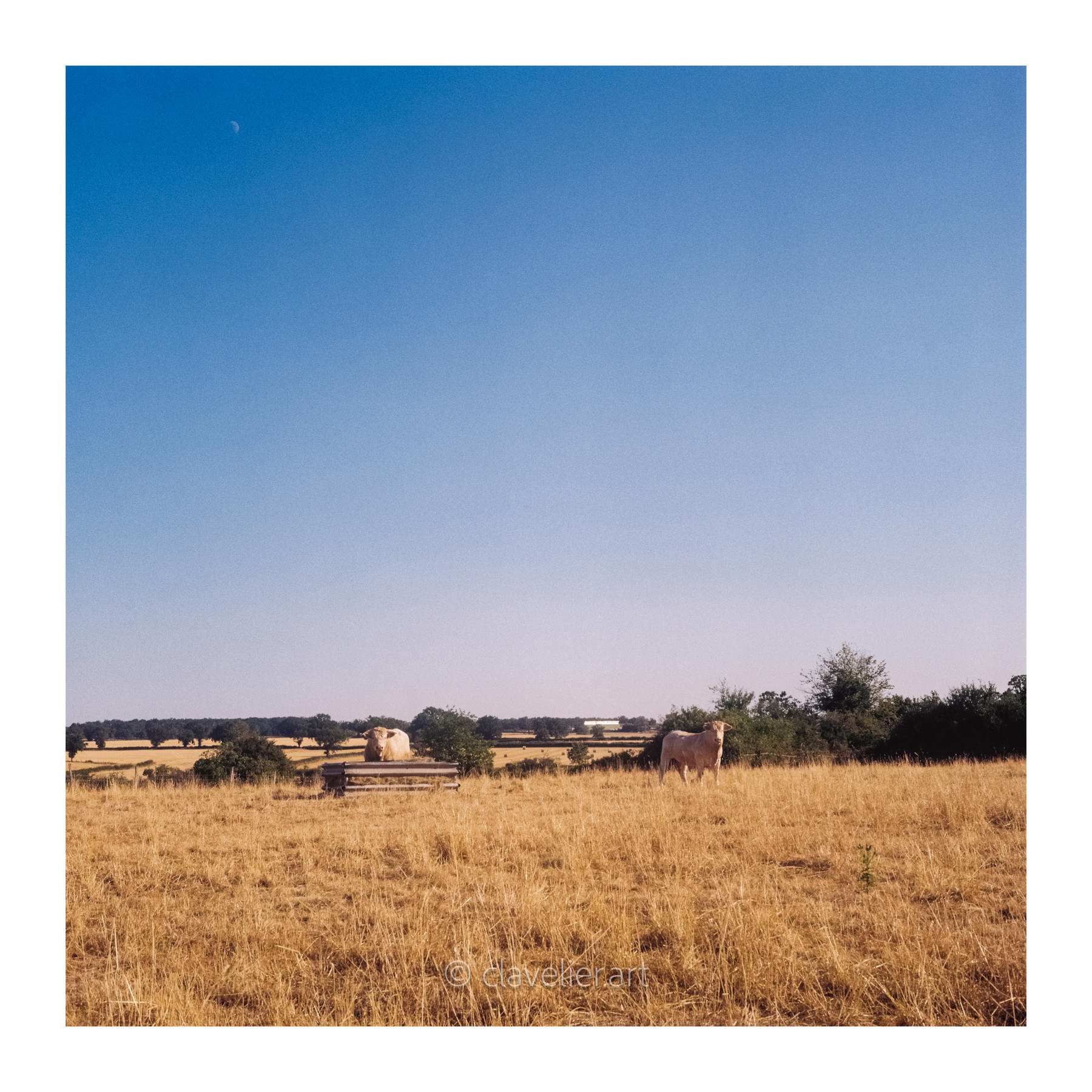 Les yeux vers le ciel, chapitre 5 — œuvre 3, photographie de Bertrand CLAVELIER