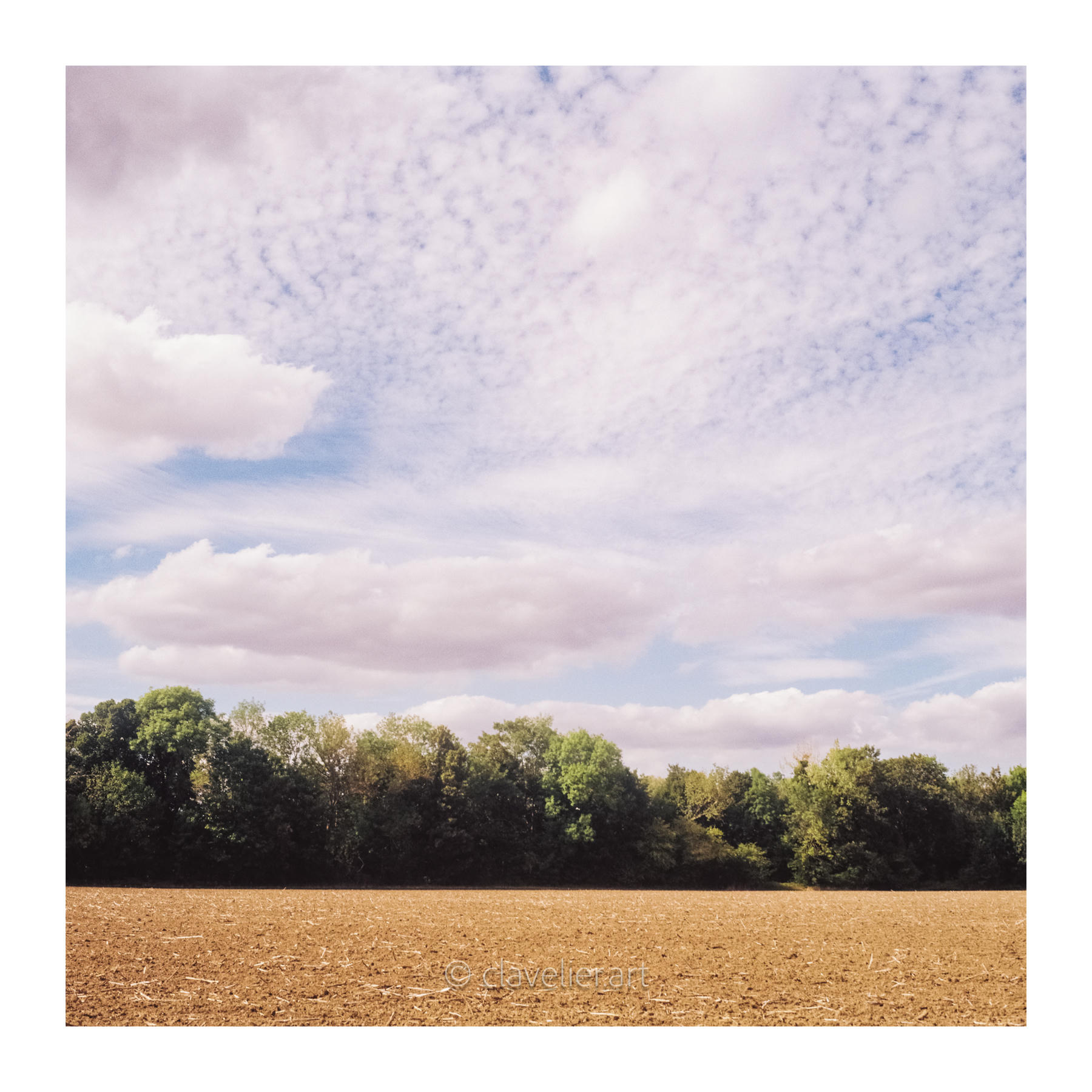 Les yeux vers le ciel, chapitre 5 — œuvre 8, photographie de Bertrand CLAVELIER