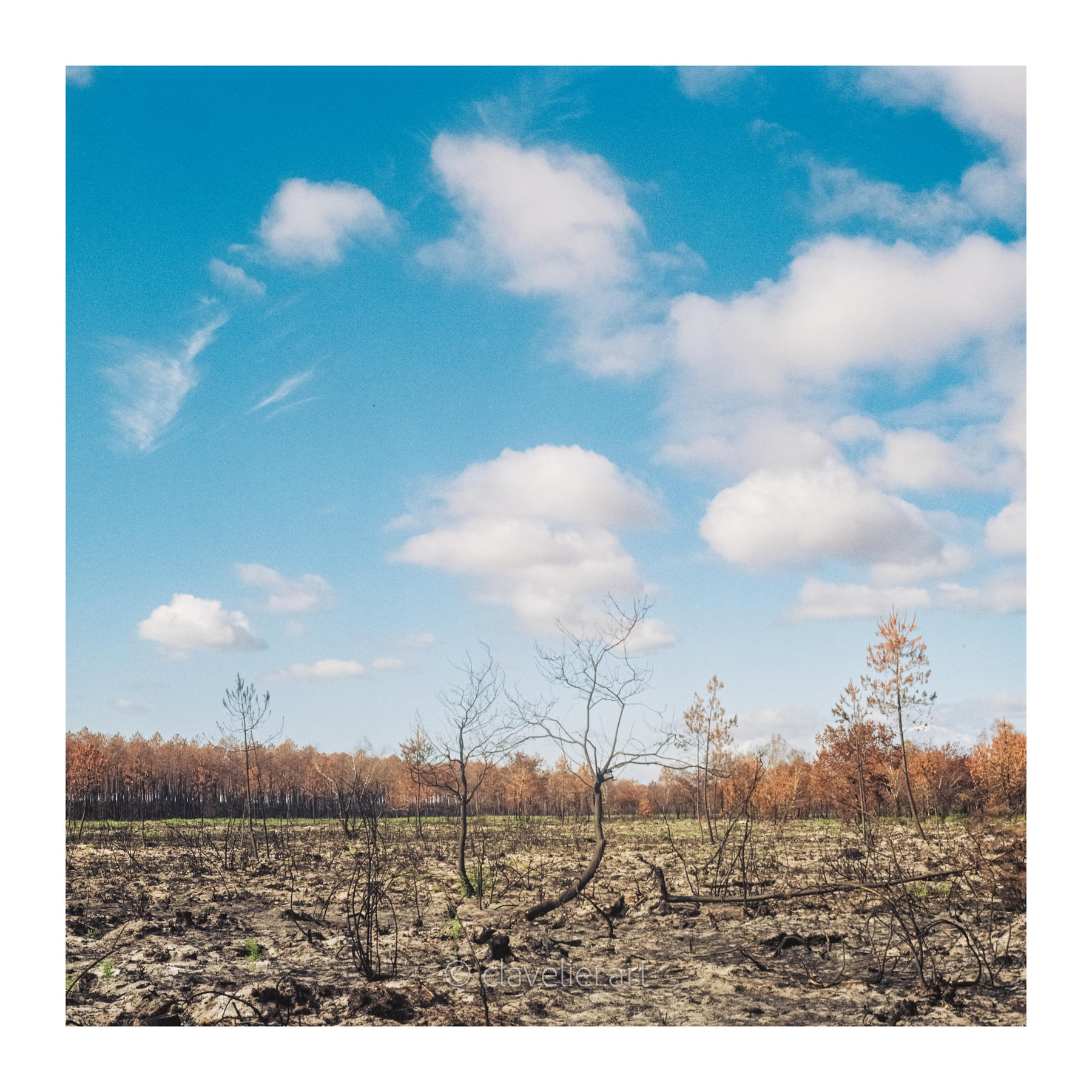 Les yeux vers le ciel, chapitre 5 — œuvre 13, photographie de Bertrand CLAVELIER