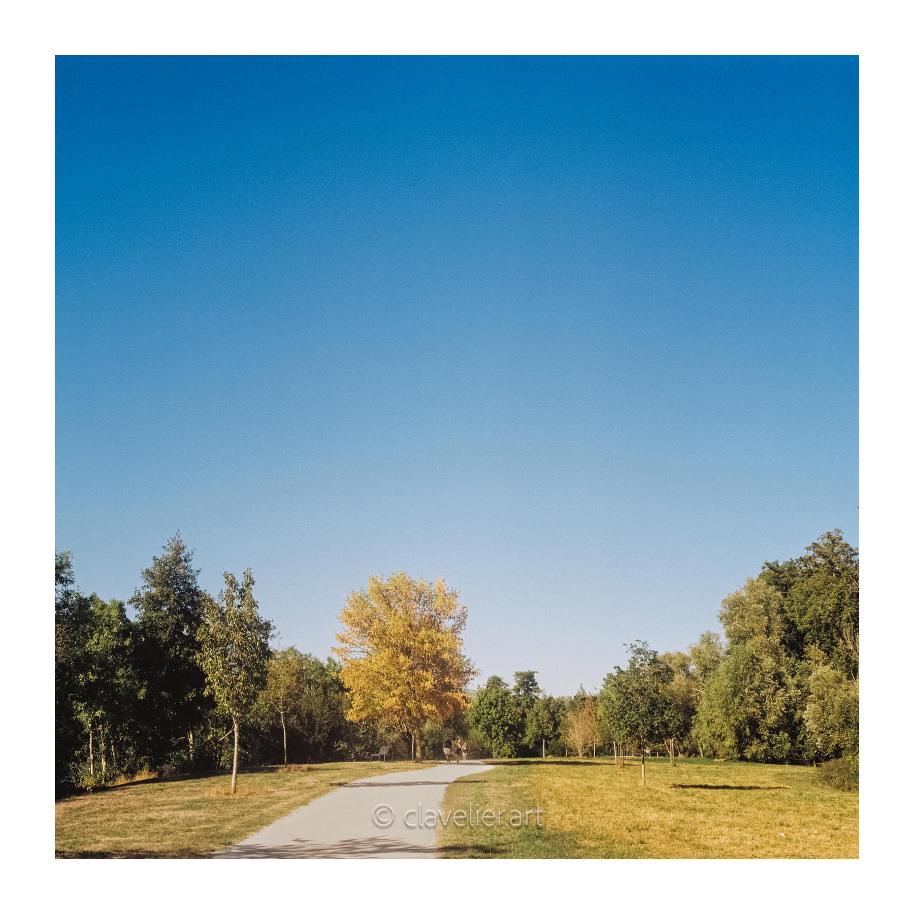 Les yeux vers le ciel, chapitre 5 — œuvre 15, photographie de Bertrand CLAVELIER